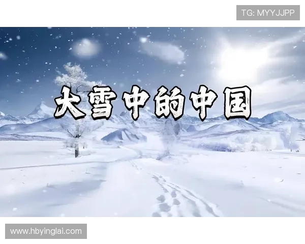 何思雨：在风雨中绽放的坚韧与勇气的故事