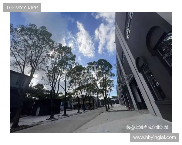 重庆足球队的崛起与发展探索聚焦球队力量与未来潜力 重庆足球队的崛起与发展探索聚焦球队力量与未来潜力